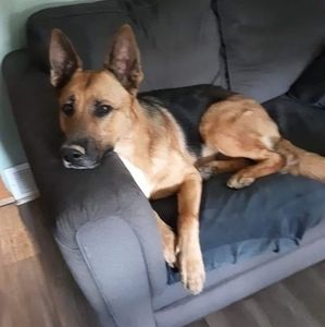 Meet your Posher, Cheryl